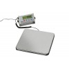 Balance digitale professionnelle - Max 60kg, 20g 