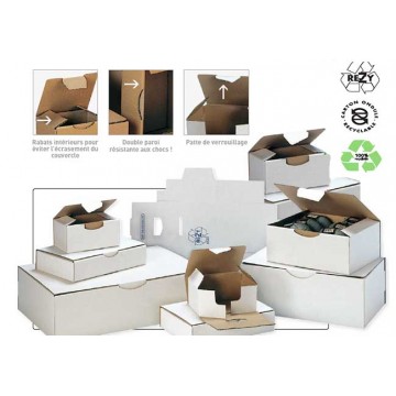 https://www.suppexpand.com/3431-thickbox/boite-carton-kraft-blanc-pour-expedition.jpg